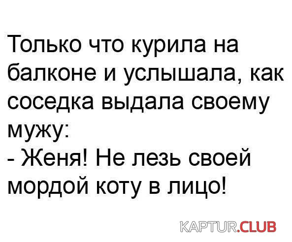 502454fe59909748cb82b48a6cb.jpg | Рено Каптур Клуб Россия | Форум KAPTUR.SU