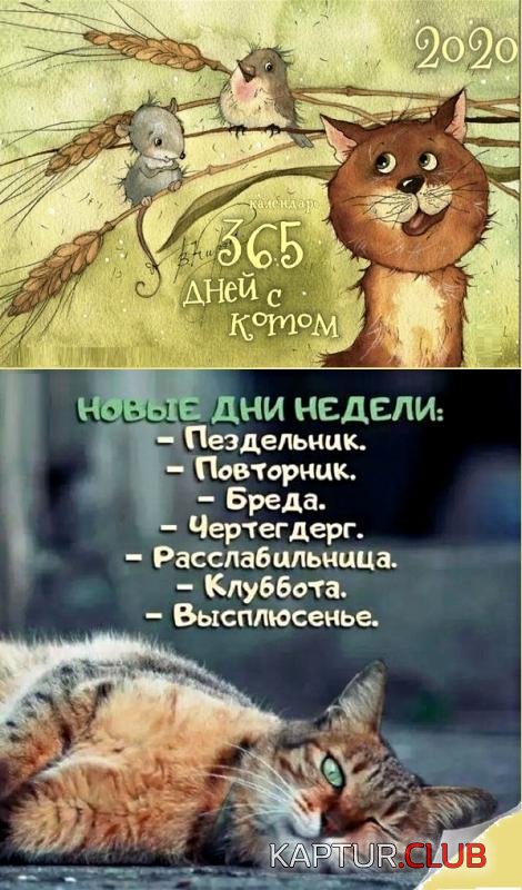 507b1f501158e50de6623da34d6_prev.jpg | Рено Каптур Клуб Россия | Форум KAPTUR.SU