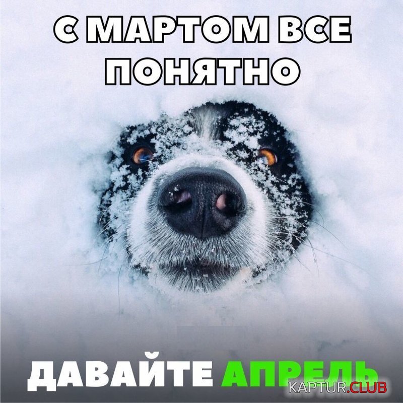 50e44c1b5415790aa7390ca072c.jpg | Рено Каптур Клуб Россия | Форум KAPTUR.SU