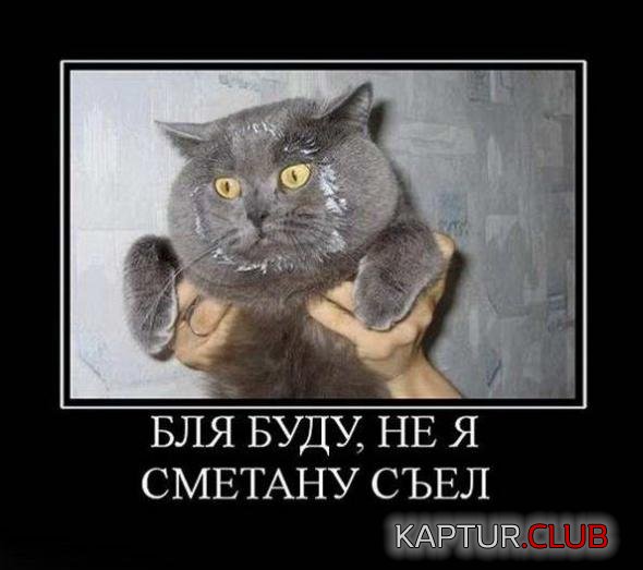 50f7218a3b5d280a986f1fa05b0_prev.jpg | Рено Каптур Клуб Россия | Форум KAPTUR.SU