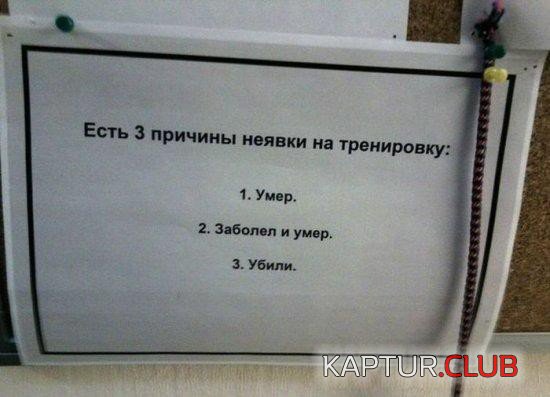 50fd5d6c754aece0174f2cde1e9.jpg | Рено Каптур Клуб Россия | Форум KAPTUR.SU