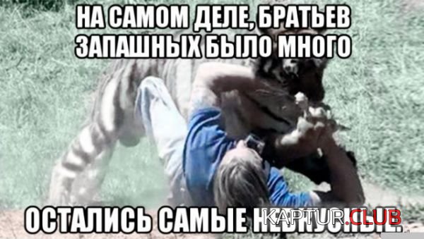 515c9b0a05a1f735fad33ff0b0d.jpg | Рено Каптур Клуб Россия | Форум KAPTUR.SU