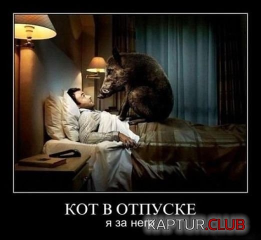 5168.jpg | Рено Каптур Клуб Россия | Форум KAPTUR.SU