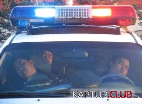 519b0e4e0061c4a9650243b2c16562a2_full.jpg | Рено Каптур Клуб Россия | Форум KAPTUR.SU