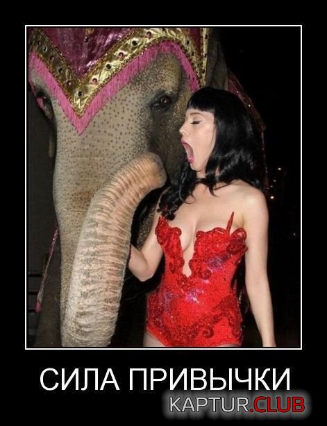 51a56d4de6c642abb5333a5ce42.jpg | Рено Каптур Клуб Россия | Форум KAPTUR.SU