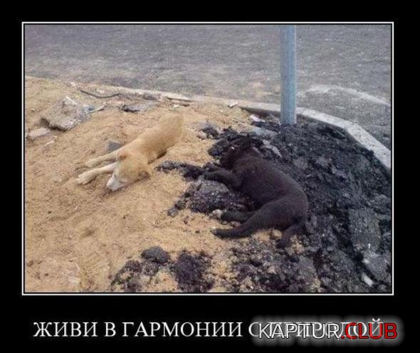 51a70b8b0d3525fc53a0cd843f3_prev.jpg | Рено Каптур Клуб Россия | Форум KAPTUR.SU