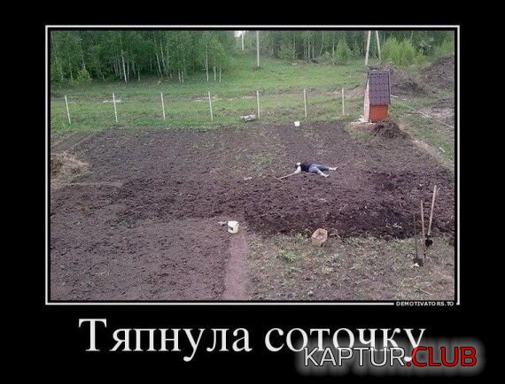 51c42783d8361551fff46e836da.jpg | Рено Каптур Клуб Россия | Форум KAPTUR.SU