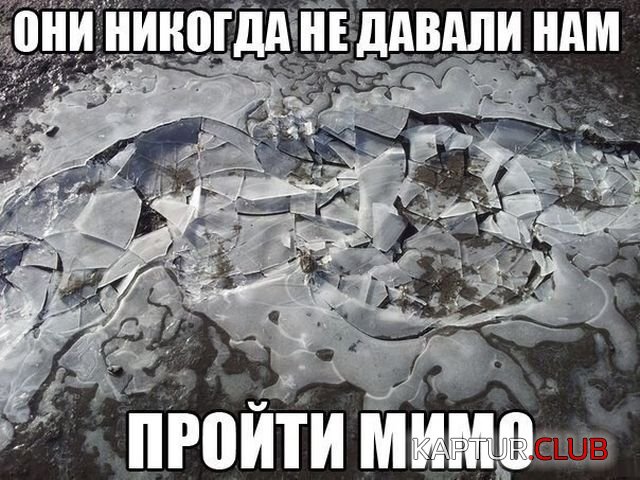 51d5ce37c2fdb2f4a213fab12c0.jpg | Рено Каптур Клуб Россия | Форум KAPTUR.SU