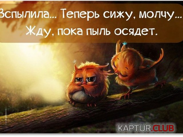 52b3c4b58e7637af9d03958ea46.jpg | Рено Каптур Клуб Россия | Форум KAPTUR.SU