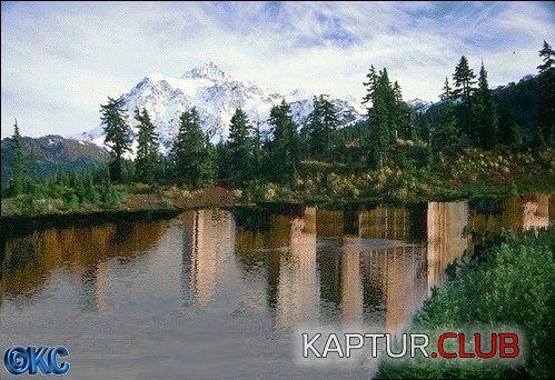 537.JPG | Рено Каптур Клуб Россия | Форум KAPTUR.SU