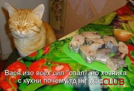 53cf907c7cce4dbf09a9e754b95.jpg | Рено Каптур Клуб Россия | Форум KAPTUR.SU