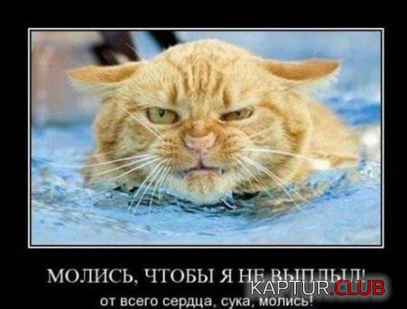 541c5530da108f63e20031a81a1_prev.jpg | Рено Каптур Клуб Россия | Форум KAPTUR.SU