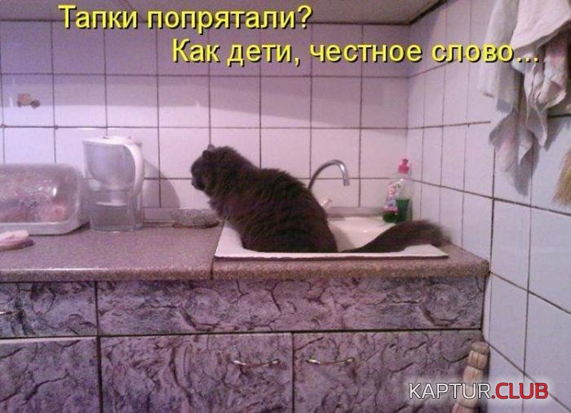 545f80c8531394b524a0e173108.jpg | Рено Каптур Клуб Россия | Форум KAPTUR.SU