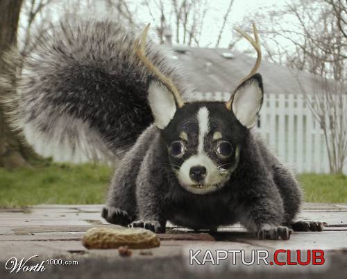 54715BGIF_w.jpg | Рено Каптур Клуб Россия | Форум KAPTUR.SU