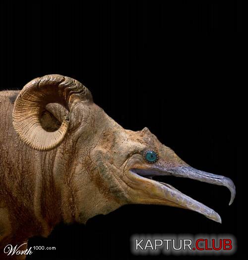 54798chJG_w.jpg | Рено Каптур Клуб Россия | Форум KAPTUR.SU