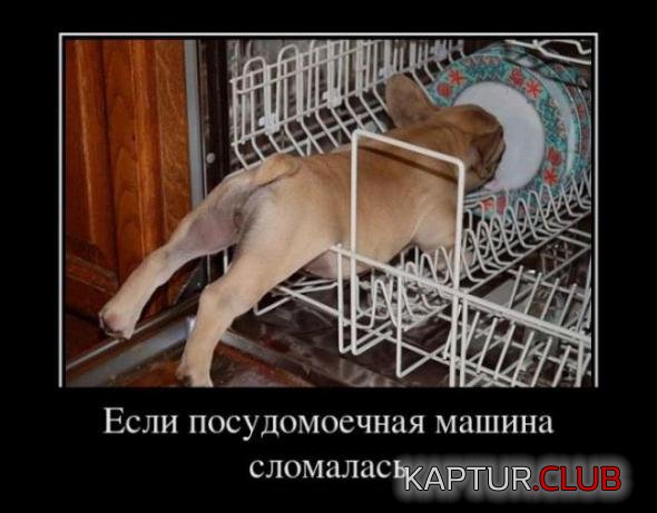 5480746bb12f64607940f9cfcdd_prev.jpg | Рено Каптур Клуб Россия | Форум KAPTUR.SU