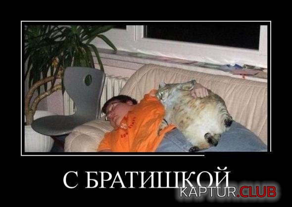 54be62fd349a92a6994ef1b854f_prev.jpg | Рено Каптур Клуб Россия | Форум KAPTUR.SU