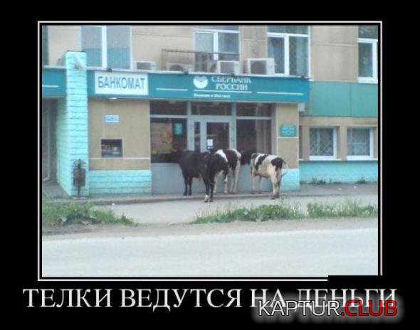 54dbdab275e60acc77f628a4711_prev.jpg | Рено Каптур Клуб Россия | Форум KAPTUR.SU