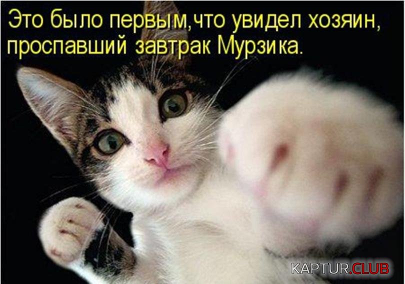 553a70d4f8f94d229b58b2eb9d0_prev.jpg | Рено Каптур Клуб Россия | Форум KAPTUR.SU