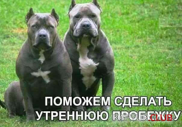 555.jpg | Рено Каптур Клуб Россия | Форум KAPTUR.SU