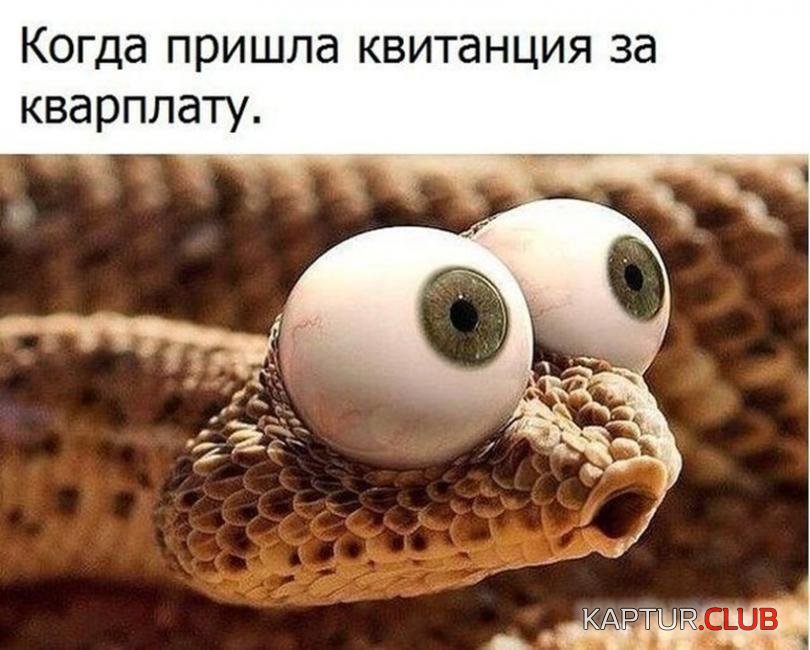 557dbd61cd072df33074d111da6_prev.jpg | Рено Каптур Клуб Россия | Форум KAPTUR.SU