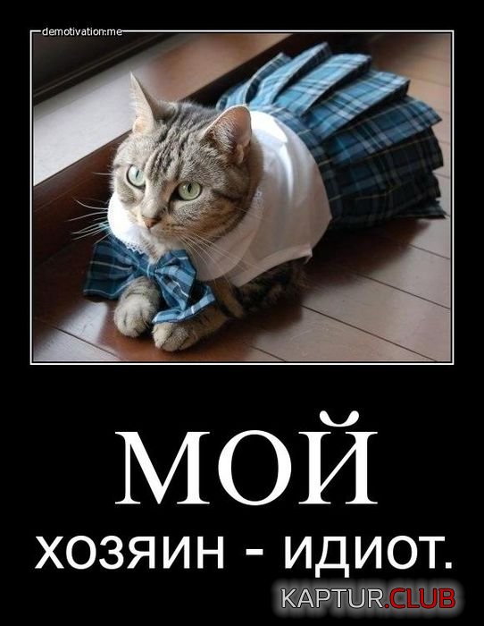 577e49534ac5cd2ebe2d44d3fd4.jpg | Рено Каптур Клуб Россия | Форум KAPTUR.SU