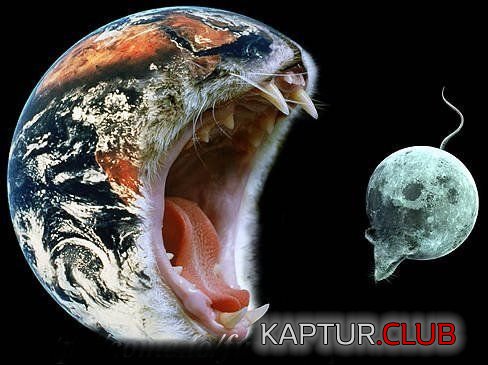 583.JPG | Рено Каптур Клуб Россия | Форум KAPTUR.SU