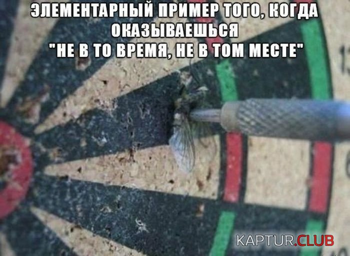 59.jpg | Рено Каптур Клуб Россия | Форум KAPTUR.SU