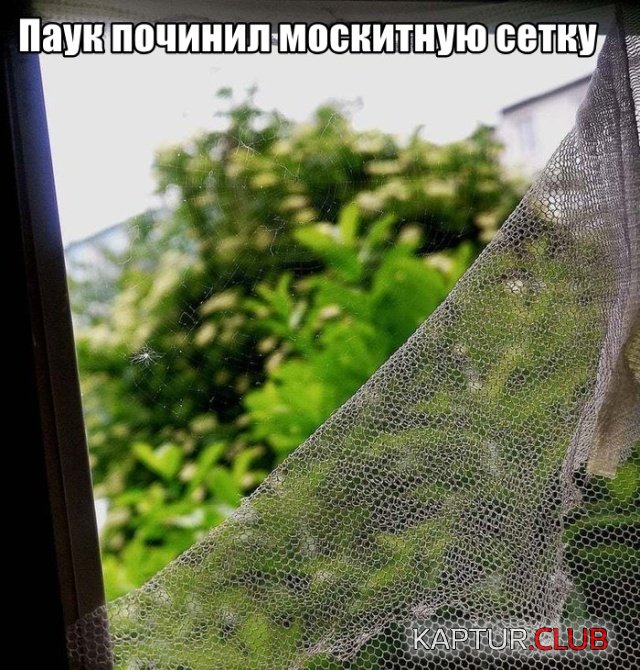 5928cafff763db7f0a50f84104b.jpg | Рено Каптур Клуб Россия | Форум KAPTUR.SU