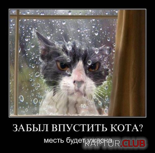 59357b0e06403e1c699bbc9359f.jpg | Рено Каптур Клуб Россия | Форум KAPTUR.SU