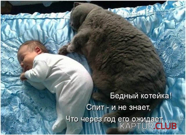 59977620e3204d4b5abf4f989a2.jpg | Рено Каптур Клуб Россия | Форум KAPTUR.SU