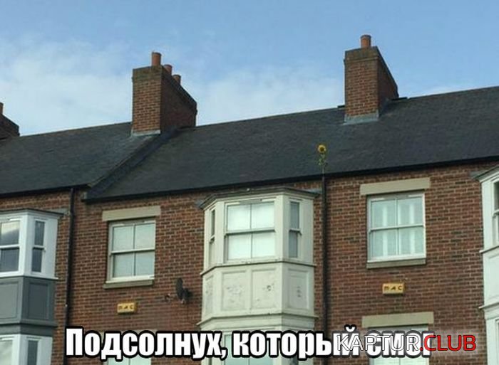 5a19ed13c5ee8d93170a5b32a7a.jpg | Рено Каптур Клуб Россия | Форум KAPTUR.SU