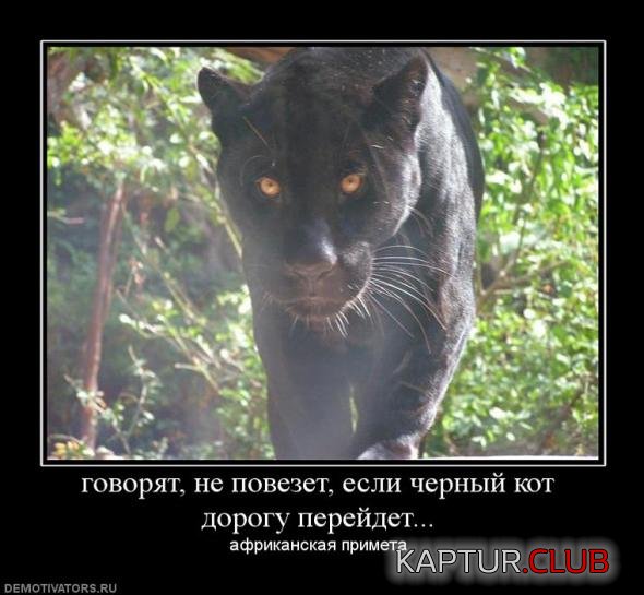 5a2b44bfccca7e4789921f5a63f_prev.jpg | Рено Каптур Клуб Россия | Форум KAPTUR.SU