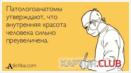 5a6d67c19abbc083bb41400b549.jpg | Рено Каптур Клуб Россия | Форум KAPTUR.SU