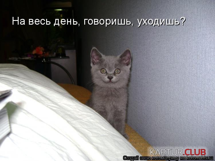 5a7cb17bc0f384cd85d9a020a6a.jpg | Рено Каптур Клуб Россия | Форум KAPTUR.SU
