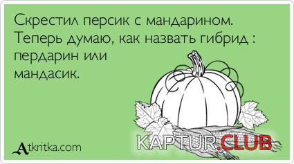 5aa39676eabeab49d2646e6d40a.jpg | Рено Каптур Клуб Россия | Форум KAPTUR.SU