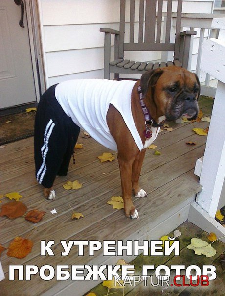 5ad7b38f0affa237c5e049b0c87.jpg | Рено Каптур Клуб Россия | Форум KAPTUR.SU