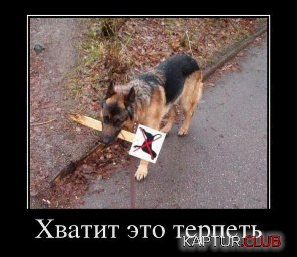 5b19cc3dc8a5dd1d69b8be2b392_prev.jpg | Рено Каптур Клуб Россия | Форум KAPTUR.SU