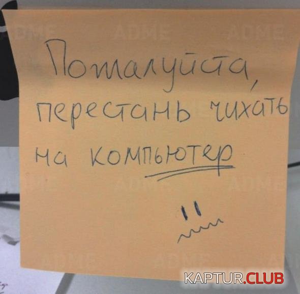 5b2bd6a37c5db29b2e2415f98cf_prev.jpg | Рено Каптур Клуб Россия | Форум KAPTUR.SU