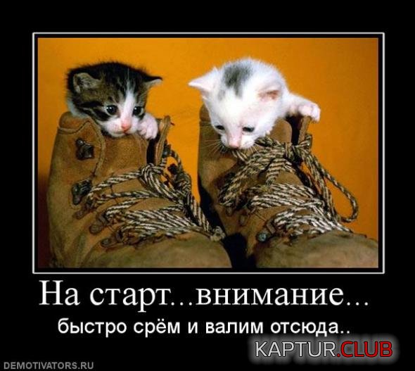 5b4eaedd3fc71a279f5676e939b_prev.jpg | Рено Каптур Клуб Россия | Форум KAPTUR.SU