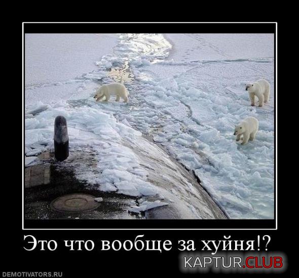 5bcfa863cd9ab49190d2db77770_prev.jpg | Рено Каптур Клуб Россия | Форум KAPTUR.SU