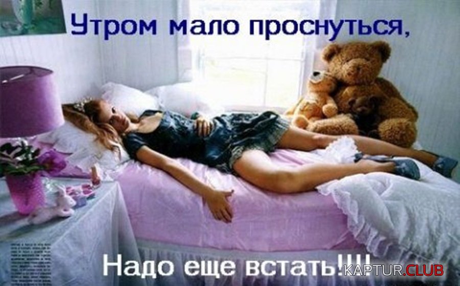 5be17d68bc0a8eeb5c32eda7db4.jpg | Рено Каптур Клуб Россия | Форум KAPTUR.SU