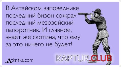 5c75bdf04e3491a4da65570e2f1.jpg | Рено Каптур Клуб Россия | Форум KAPTUR.SU