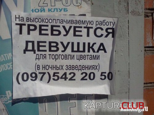 5d533763aa939452cd38099bab6.jpg | Рено Каптур Клуб Россия | Форум KAPTUR.SU