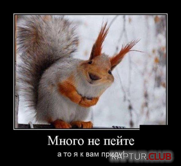 5da1340fb58e3617927e59d8a67_prev.jpg | Рено Каптур Клуб Россия | Форум KAPTUR.SU