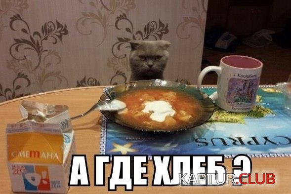 5dd97d52ee16d5f5027531040ff.jpg | Рено Каптур Клуб Россия | Форум KAPTUR.SU