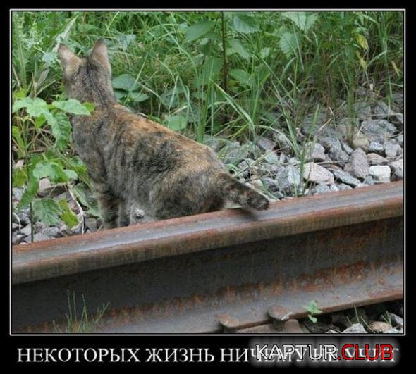 5e128867995d3651fc756d2d170_prev.jpg | Рено Каптур Клуб Россия | Форум KAPTUR.SU