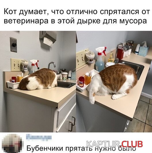 5e516cf94e265e47152fde861c7.jpg | Рено Каптур Клуб Россия | Форум KAPTUR.SU