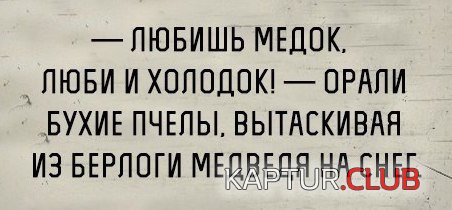 5e5c677dbd78cca765bc9b0ad9c.jpg | Рено Каптур Клуб Россия | Форум KAPTUR.SU