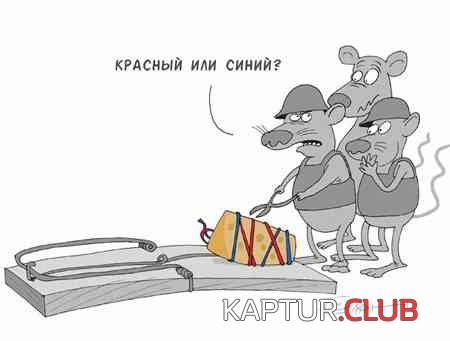 5e6437c112de96d35ed6e66ff696c04e_full.jpg | Рено Каптур Клуб Россия | Форум KAPTUR.SU